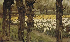 Trunks Prints: Bollenveldenn (Bulb Field), by Anton L
