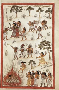 Rites Prints: Book of the Moghul. Ms. 8300. 17th c