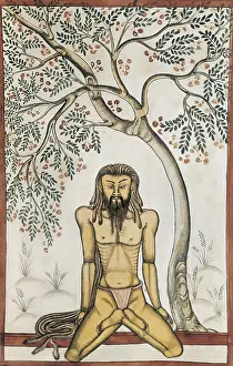 Mughal Prints: Book of the Moghul. Ms. 8300. 17th c