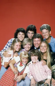 BRADY BUNCH, top row, from left: Christopher Knight, Barry Williams, Ann B