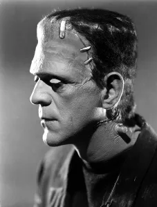 Scar Prints: BRIDE OF FRANKENSTEIN, Boris Karloff, 1935
