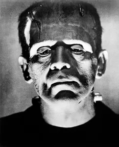 Images Dated 20th October 2010: BRIDE OF FRANKENSTEIN, Boris Karloff, 1935