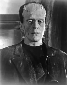 Images Dated 9th November 2010: BRIDE OF FRANKENSTEIN, Boris Karloff, 1935