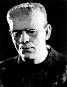 Images Dated 24th May 2011: THE BRIDE OF FRANKENSTEIN, Boris Karloff, 1935