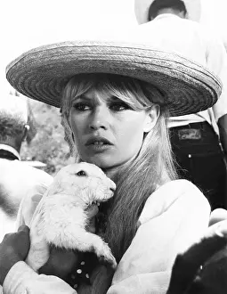 Brigitte Prints: Brigitte Bardot with a white rabbit between scenes of VIVA MARIA