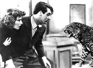 Leopard Prints: BRINGING UP BABY, Katharine Hepburn, Cary Grant, Baby the Leopard, 1938