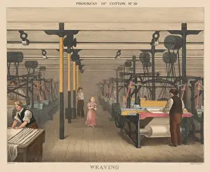 Mills Prints: British 1840s depiction the Progress of Cotton
