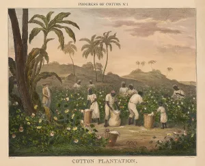 Fields Prints: British 1840s depiction the Progress of Cotton