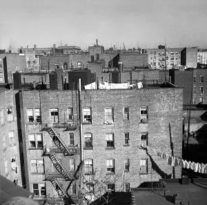 Congestion Prints: Bronx tenements in New York City, Dec. 1936. Photo by Arthur Rothstein. (BSLOC_2013_8_48)