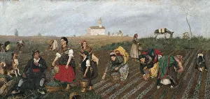 1877 Prints: BRU ALBIAA, Jos (19th century)