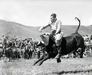 Performer Prints: Bull Rider at American Rodeo. Ca. 1950. - (BSLOC_2014_17_112)