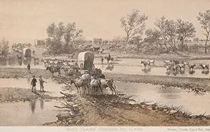 Travel Prints: BULL TRAINS CROSSING THE PLAINS, 1867-68