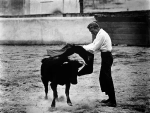 Bull Prints: BULLFIGHTER AND THE LADY, Robert Stack, 1951