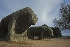 Avila Prints: Bulls of Guisando. 3rd BC. SPAIN