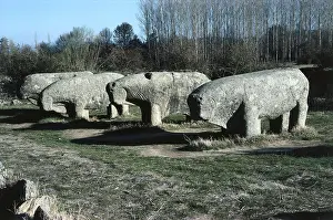 Iberian Prints: Bulls of Guisando. 3rd BC. SPAIN