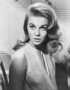Images Dated 19th December 2013: BUS RILEY'S BACK IN TOWN, Ann-Margret, 1965