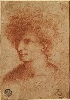 Pen And Ink Prints: Bust of young, by circle of Leonardo da Vinci