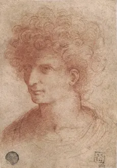 Sketch Prints: Bust of a Young Man, by Giovanni Agostino da Lodi known as Pseudo Boccaccino