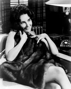 Images Dated 4th September 2014: BUTTERFIELD 8, Elizabeth Taylor, 1960