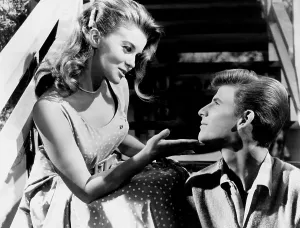Images Dated 23rd December 2013: BYE BYE BIRDIE, from left, Ann-Margret, Bobby Rydell, 1963