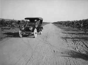 Dirt Road Prints: California, California Citrus Heritage Recording Project