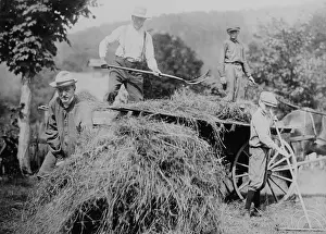 Calvin Prints: Calvin Coolidge harvests hay with his father, John Coolidge, and sons John and Calvin