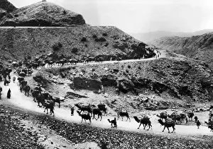 Afghans Prints: A camel caravan on the Khyber Pass on the Northwest Indian Frontier