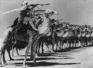 Camels Prints: Camel Corps of the Arab Legion practice firing from the saddle during World War 2