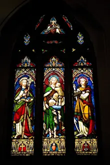 Gothic Revival Prints: CANADA. Montreal. Christ Church Cathedral