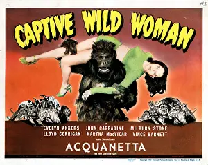 Title Card Prints: CAPTIVE WILD WOMAN, Ray Crash Corrigan, carrying Acquanetta, 1943