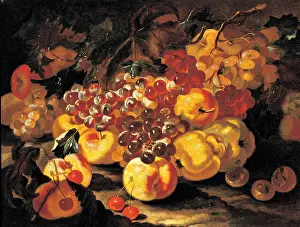 Grapes Prints: Castelli Giovanni Paolo know as Spadino