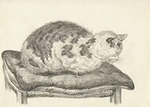 Lying Prints: Cat Lying on a Cushion, Facing Left