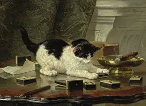Playing Prints: The Cat at Play, by Henriette Ronner, c