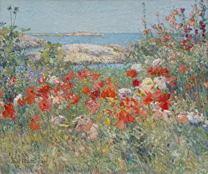 Coast Prints: CELIA THAXTERS GARDEN, ISLES OF SHOALS