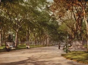 Path Prints: Central Park, New York City, photochrom, 1901