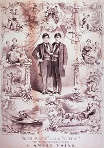 Curiosities Prints: Chang and Eng, (1811-1874), World Renowned United Siamese Twins