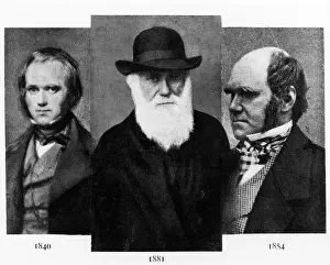 Genius Prints: Charles Darwin (1809-1882), at age 31 in 1840 (L)