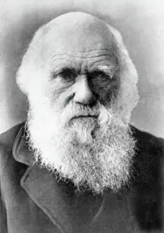 Genius Prints: Charles Darwin (1809-1882), circa 1870s-1980s. Courtesy: CSU Archives/Everett Collection
