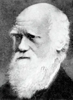 Old Age Prints: Charles Darwin (1809-1882), circa 1870s-1980s. Courtesy: CSU Archives/Everett Collection