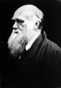 Everett Site Prints: Charles Darwin, c. 1880. Courtesy: CSU Archives / Everett Collection