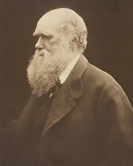 Cameron Prints: Charles Darwin, ca. 1868, by Julia Margaret Cameron