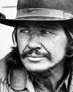 Images Dated 20th February 2014: CHATO'S LAND, Charles Bronson, 1972