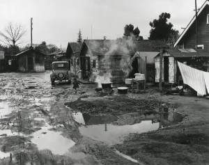 Images Dated 10th June 2013: Cheap auto camp housing for citrus workers