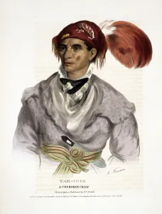 Cherokee Prints: Cherokee Tribe. Tah-chee, a Cherokee chief
