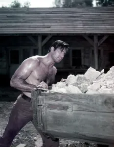 1950s Portrait Prints: CHEYENNE, Clint Walker, 1955-63