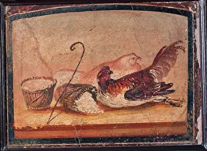 Plumage Prints: Chickens and Ricottas, by unknown artist