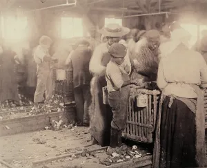Negro Prints: Child labor, an African American boy shucking oyesters