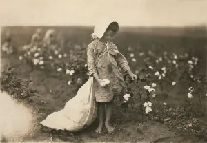 Oklahoma Prints: Child labor, a young girl picking cotton