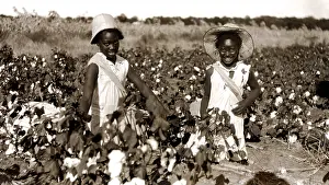 Black History Prints: Children picking cotton, late 1800s. Courtesy: CSU Archives / Everett Collection