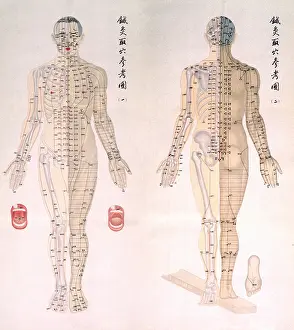 Muscles Prints: Chinese chart of acupuncture points on a male body